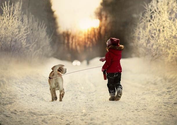 Детские мультфильмы на зимнюю тематику