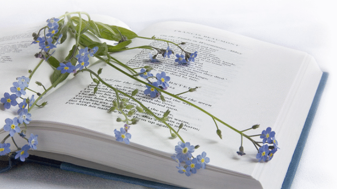 Магия слова: почему поэзия остается языком настоящих чувств