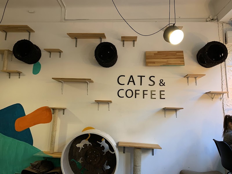 Cats and coffee | Киці та кава | 12+