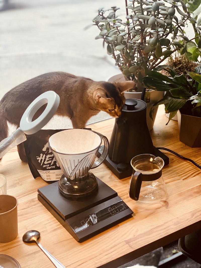Cats and coffee | Киці та кава | 12+